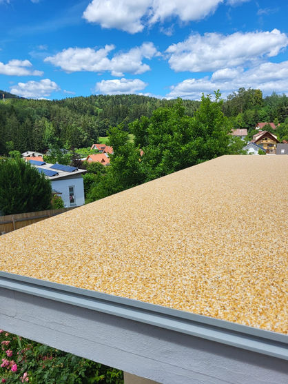 WhatsApp Image 2022-07-13 at 21.12.11.jpeg