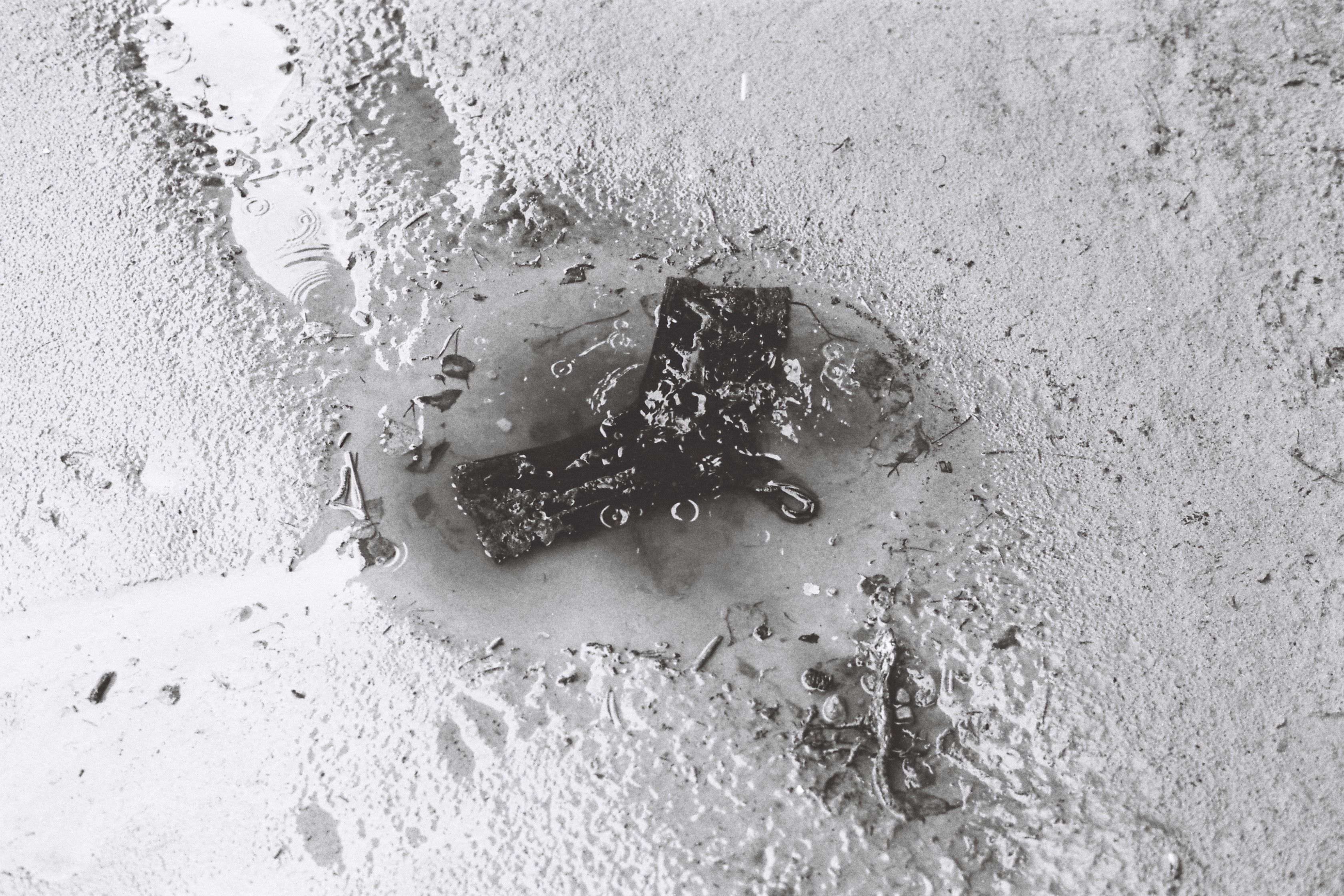 ROMY ALIZÉE "TROPHÉE # 6"