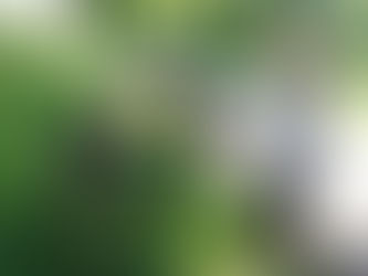 GS-CP : chasse aux trésors du printemps