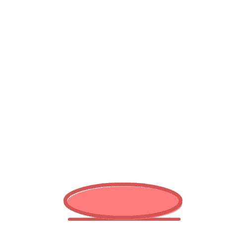 gif-animation.gif