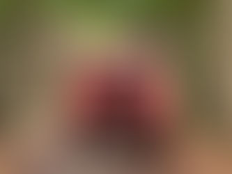 Flash Fiction #2 - Tears Began to Fall