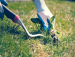 Removing Weeds_edited_edited_edited.jpg