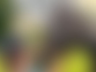 Une jument et un enfant qui se regardent avec amour les yeux dans les yeux