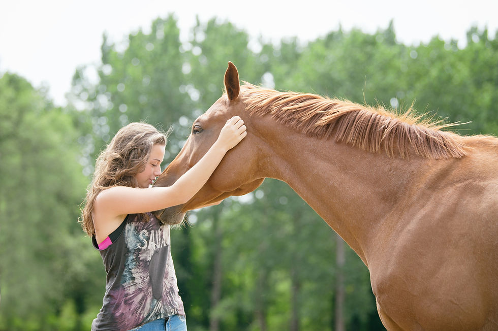 Communication animale : comment savoir à qui faire confiance ?