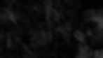 LLAP-BW-banner.jpg