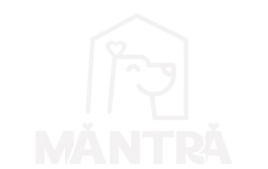sf_LOGO9.png