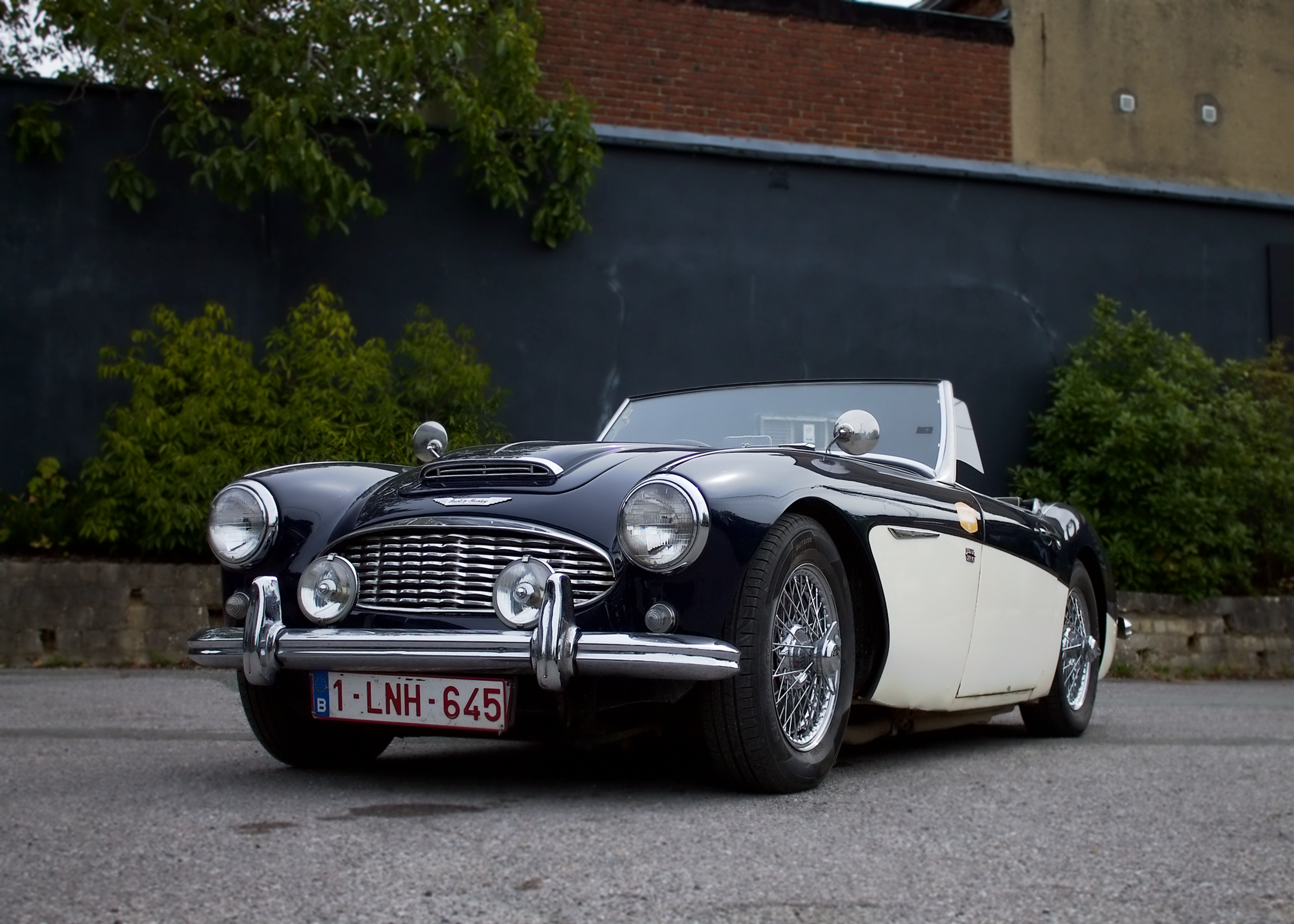 AUSTIN HEALEY