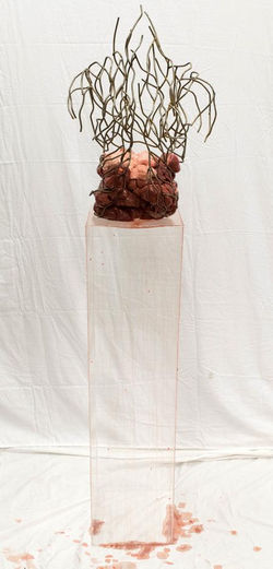 "Bleeding All Over Nothing"