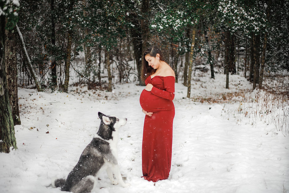 MJ Mendoza Photography | Maternity Photos | Richmond VA maternity photographer