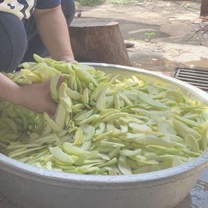 琉球夏季的酸甜味：芒果青
