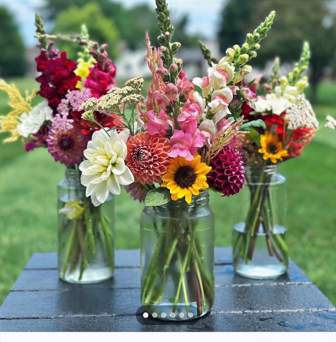 12 Week CSA Flower Subscription