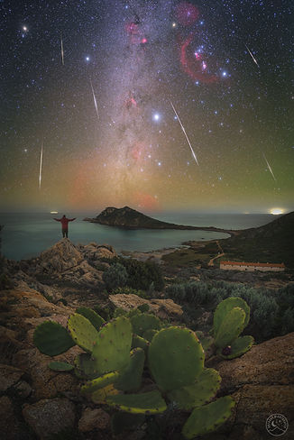 Meteorscaptaillatcactusflash.jpg