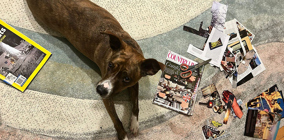 Ursula, the most discerning of all collectors