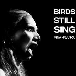 Birds Still Sing