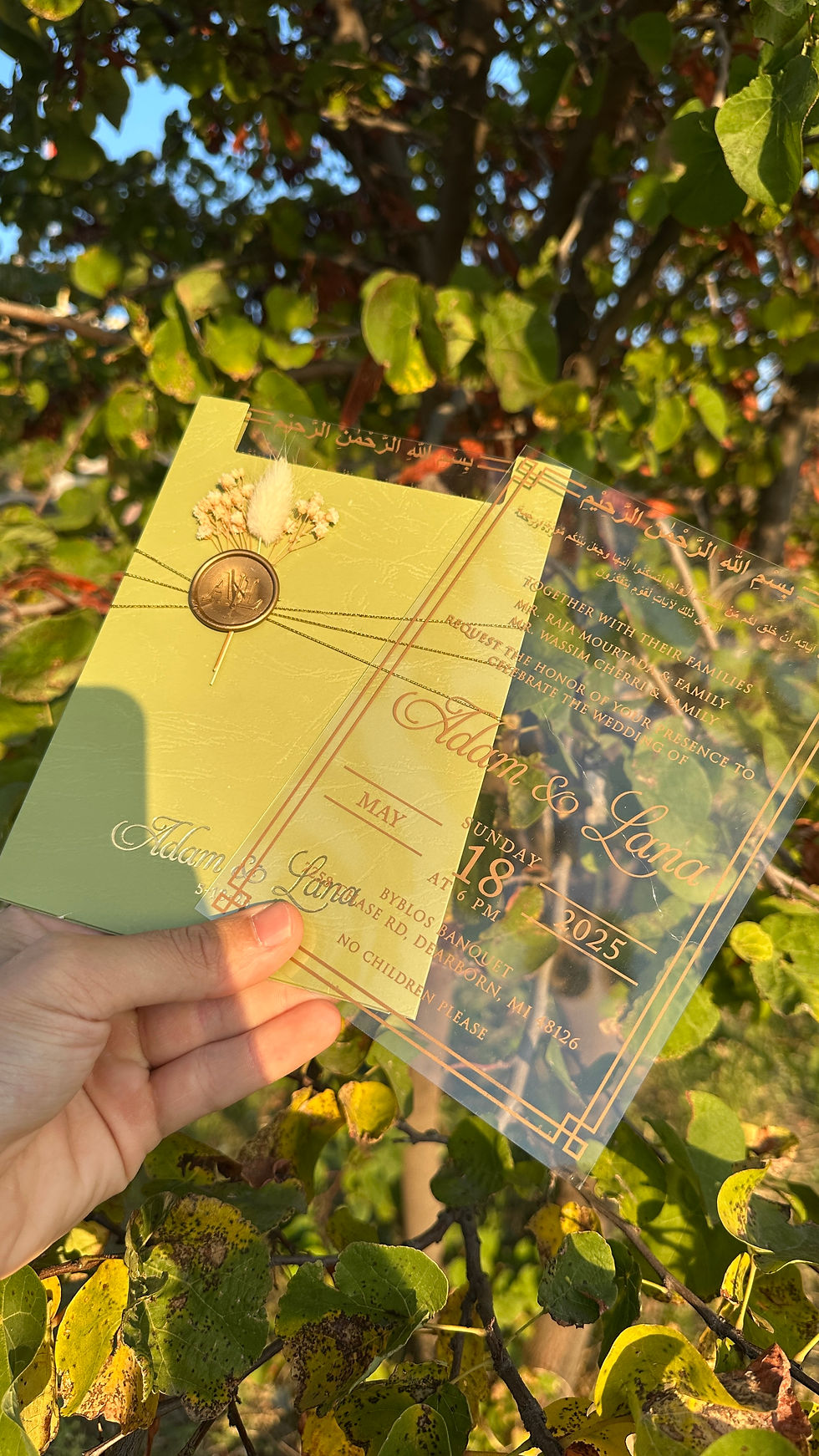 Miniatura: Wedding Invitation, Acrylic Invitations, Gold Acrylic Quinceanera Invitation, L8