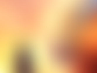 THERE ARE NO SIDE DOORS: How Shame Became a Sanctuary