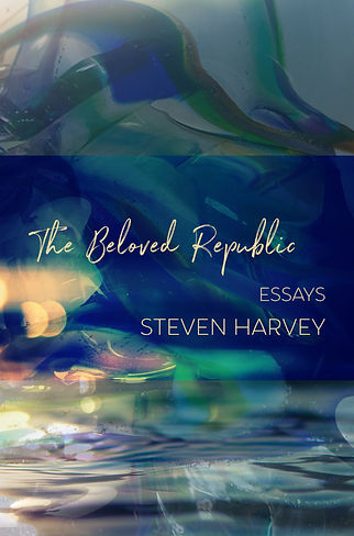 The Beloved Republic front cover.jpg