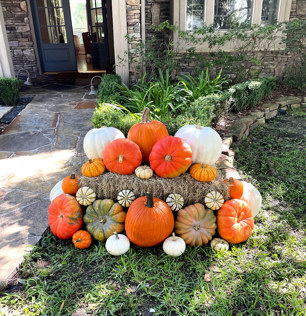 SINGLE BUNDLE - Delivery Only