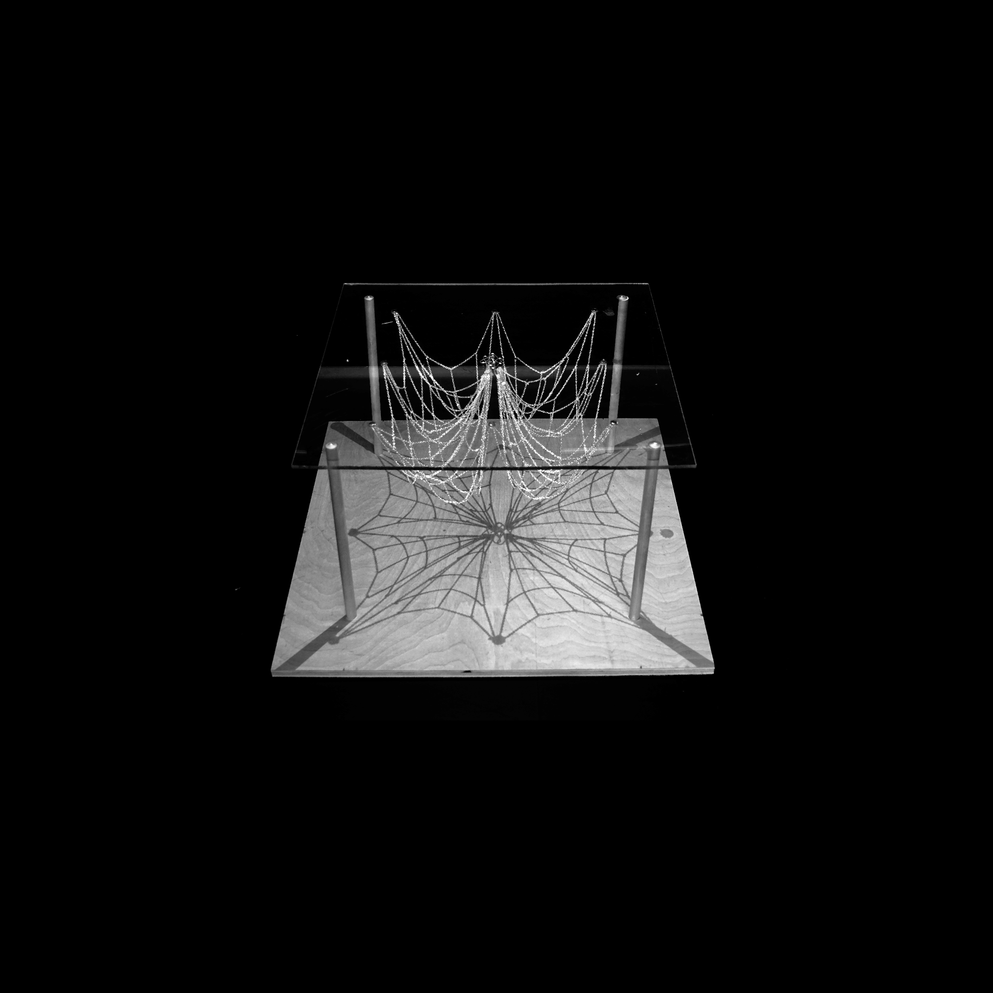 anderson_vadot_xia_model_gif_1.gif
