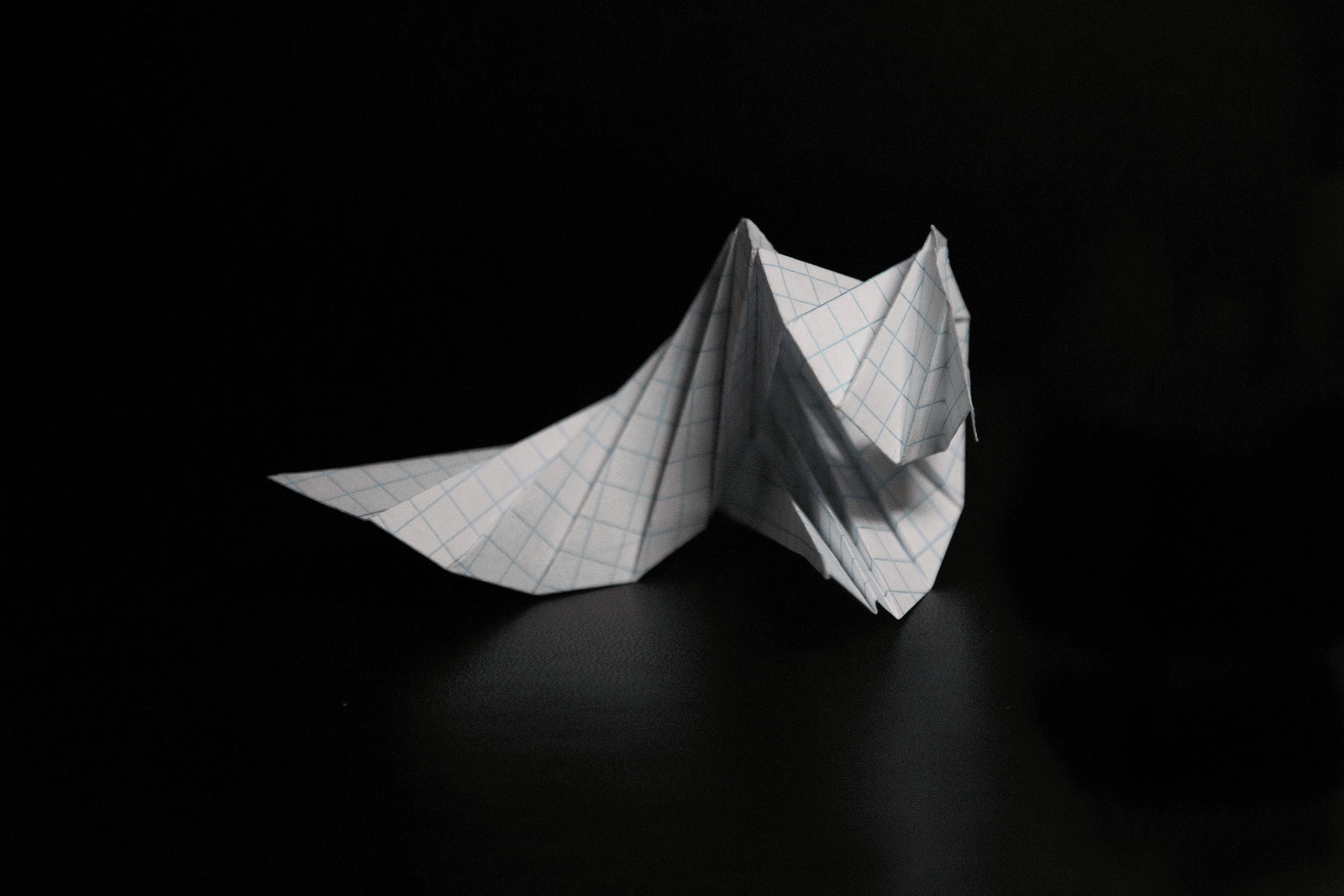 21FM04_GIF.gif