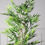 Thumbnail: UV Artificial Bamboo ''Lucky'' Tree Green 180 cm