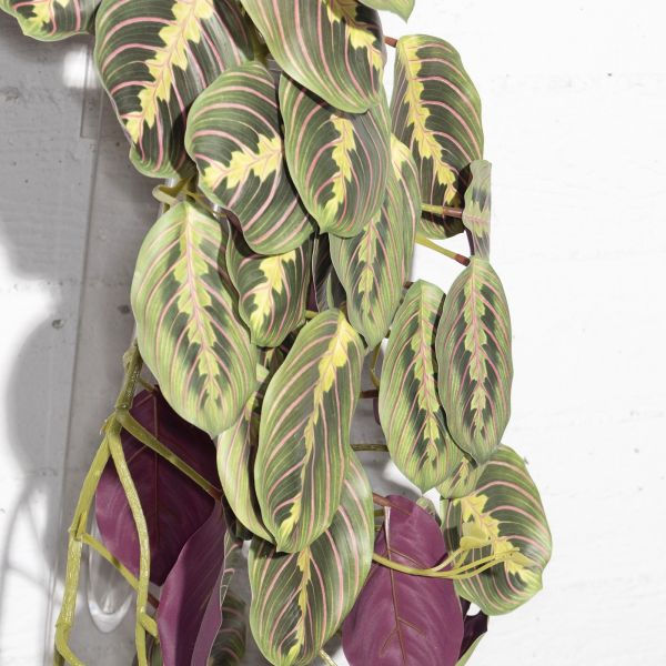 Thumbnail: Artificial Hanging Calathea "Maranta" Green 85 cm