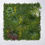 Thumbnail: Artificial Wall Panel Grass "Yellowish" 100x100 cm