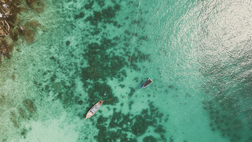 Coral reefs( overhead shots)