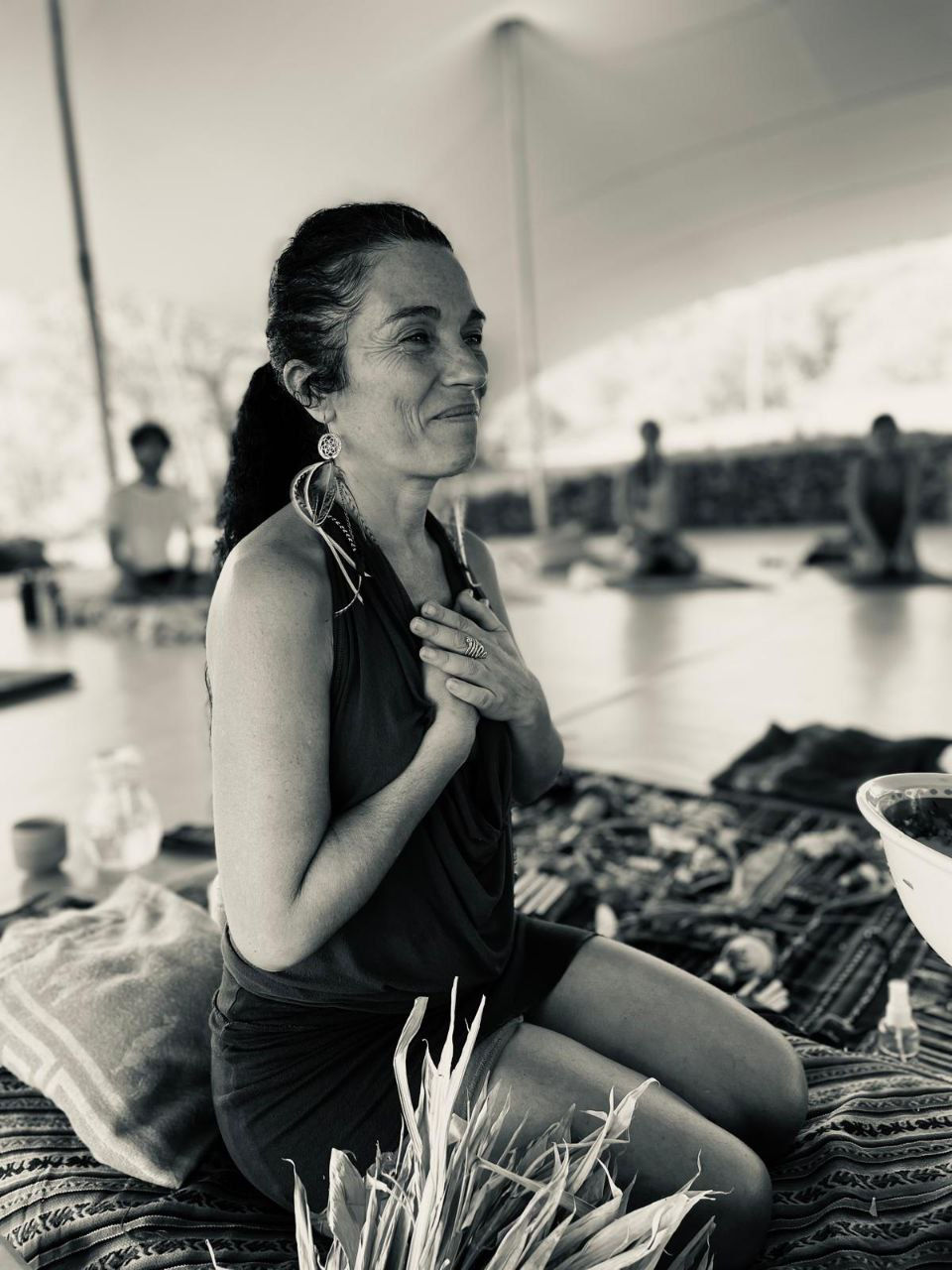 Dieta con le piante Maestre