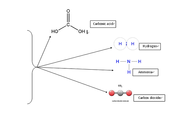 ACIDOGENESIS.png