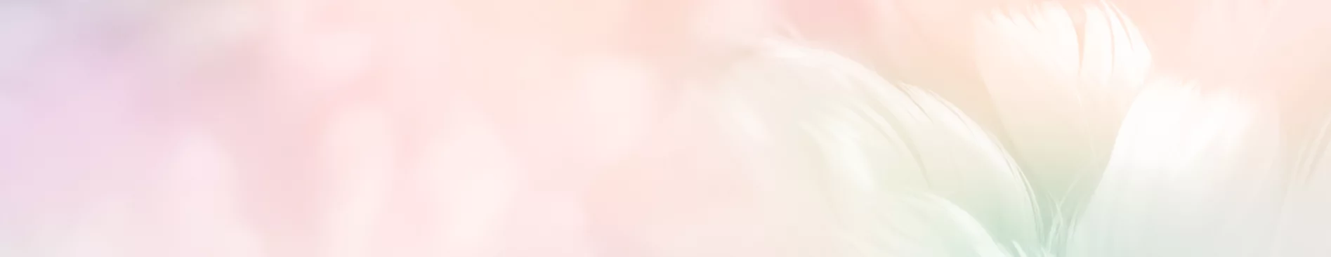 wix Engel Aura spray.webp