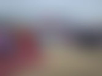 Con gran éxito se llevó a cabo el Lanzamiento Regional del Desierto Florido 2025 en el parque nacional Llanos del Challe