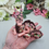Thumbnail: Suki the Sakura Dragon 