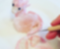 60134811_1828187740615688_5447095498672439296_o_edited.png