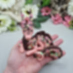 Thumbnail: Suki the Sakura Dragon 
