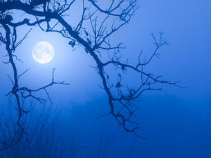 Once in a Blue Micro Moon: Creative Showcase with Slooh