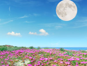 Springtime, Satellites, & Sharing the Sky