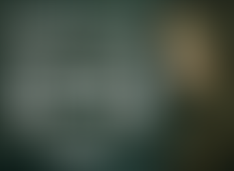 DISENCHANTMENT PLACES IN NYWIFT FESTIVAL