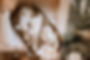 MHP_Elegant-Country-Wedding-378.jpg