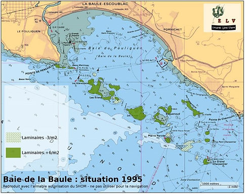 baule1995.jpg