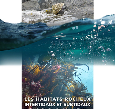 Page couverture Actes Séminaire.png