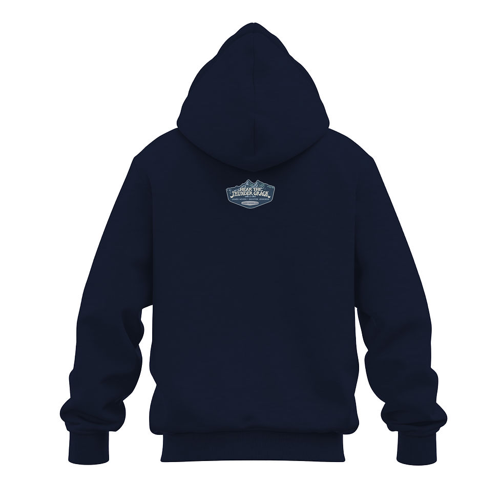 Thumbnail: HTTC Album Art Hoodie