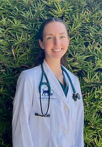 Dr. Allison Saunders.jpg