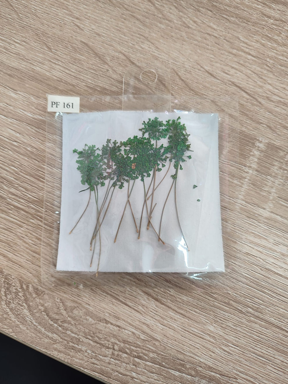 Miniatura: Flores secas