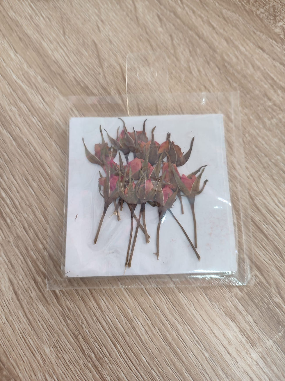 Miniatura: Flores secas