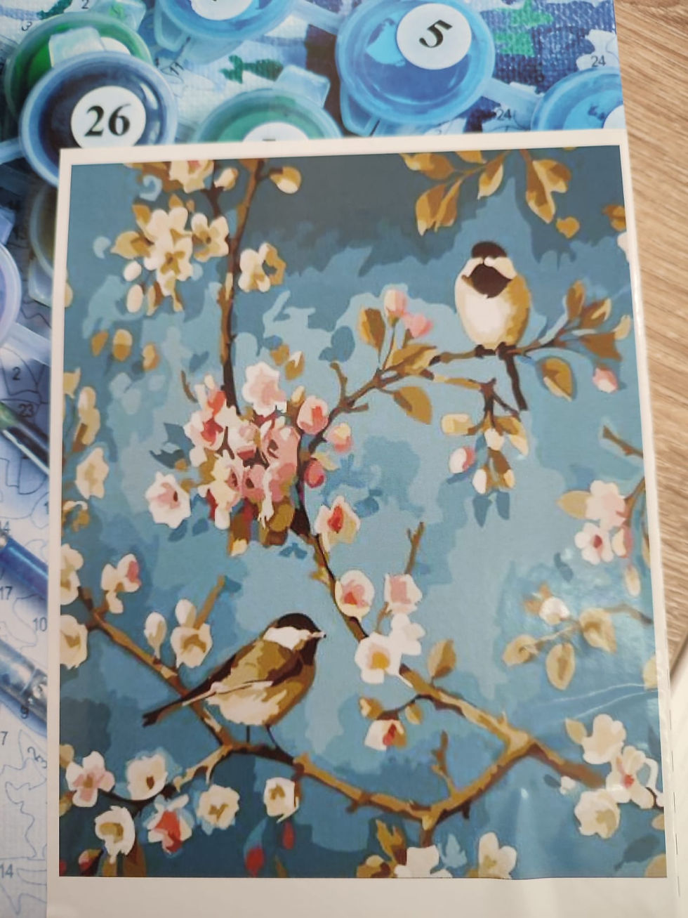 Miniatura: Pinta por números pájaros sobre la rama