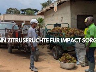 Getrocknete Zitrusfrüchte made in Ghana, 100% organic – und powered by solar