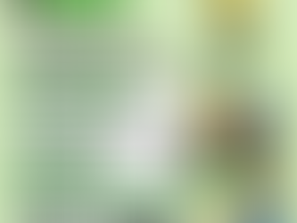 Programma allenamento gratuiti 2^ sett.