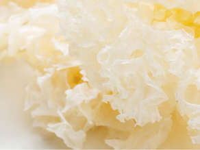 CHAMPIGNON DE TRÉMELLE : Un champignon nommé Magie
