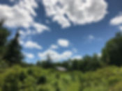 e36b11577815b676-photo.jpg